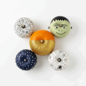 A bright, clean flat-lay photo from above, showcasing a collection of five no-carve pumpkins.